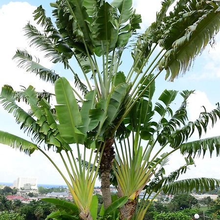 The View At Mystic Ridge Penthouse 78A Ocho Rios Exterior foto